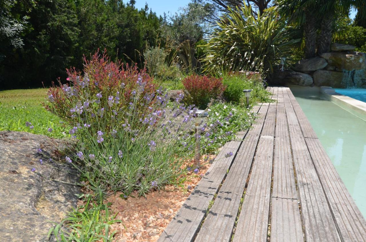 Bed and Breakfast Mas De La Butte Blanche Orgon Esterno foto